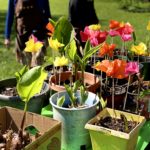 plant sale- Days for Girls