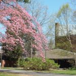 church landscape